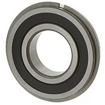 NSK 6001DDUNR Ball Bearings