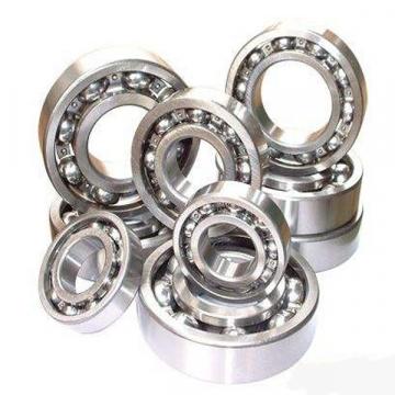 6005ZZN, Argentina Single Row Radial Ball Bearing - Double Shielded, Snap Ring Groove