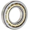 SKF Industrial Manufacturer 7205 BECBM