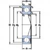 підшипник S71919 ACD/P4A SKF