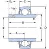 підшипник YAR 204-2FW/VA228 SKF #1 small image