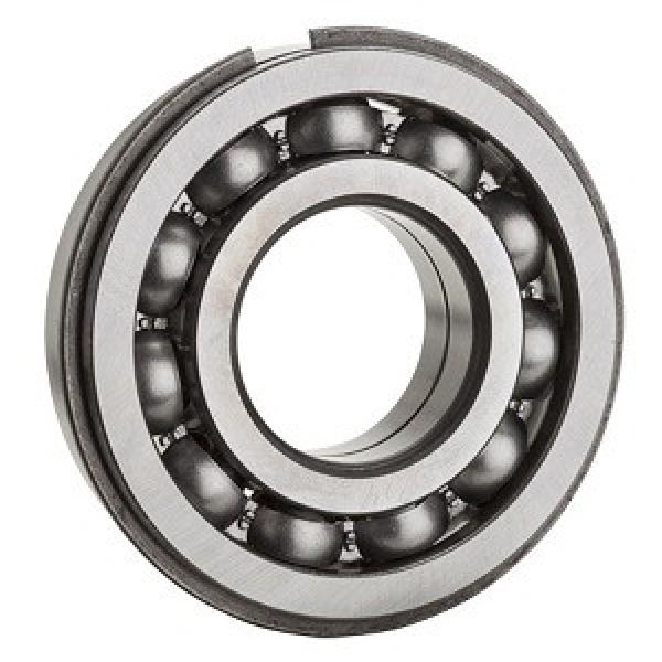 FAG Thailand BEARING 6313-N Single Row Ball Bearings #1 image