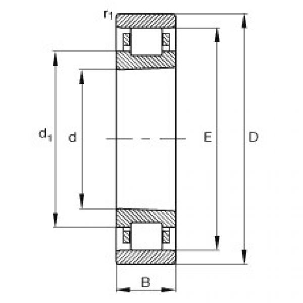 підшипник N1015-K-M1-SP FAG #1 image