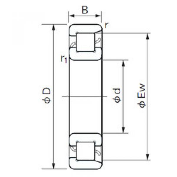 підшипник NF 1016 NACHI #1 image