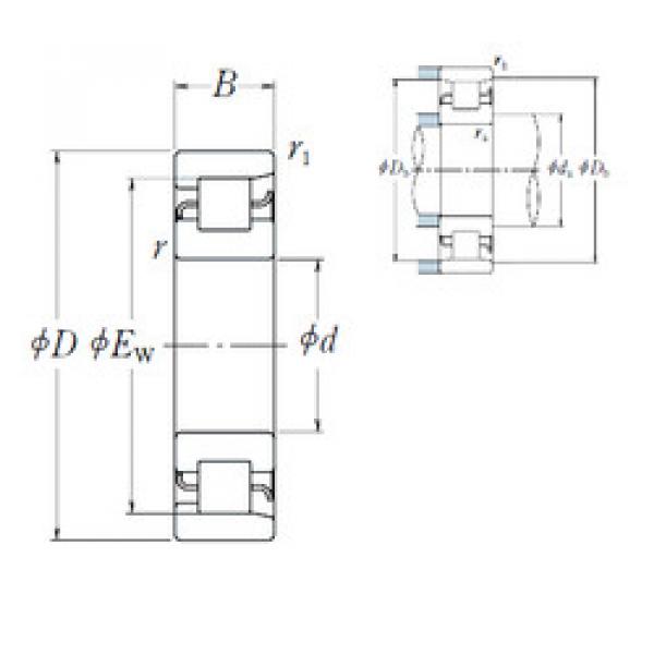 підшипник NF 215 NSK #1 image