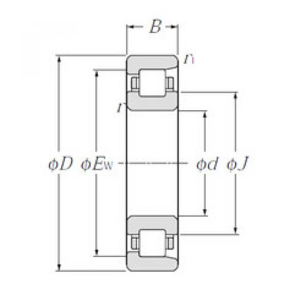 підшипник NF336 NTN #1 image