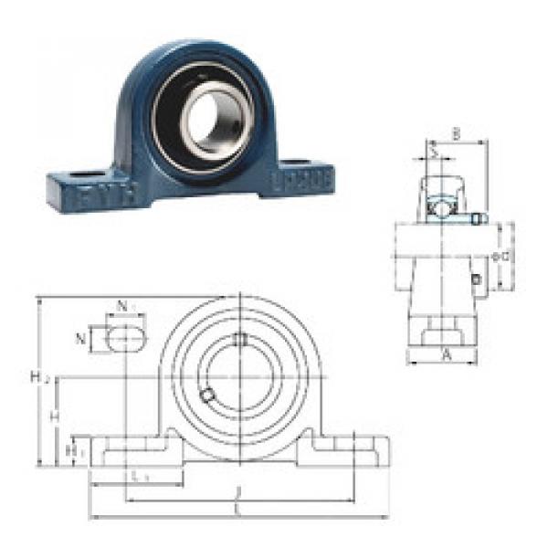 підшипник BLP206-19 FYH #1 image