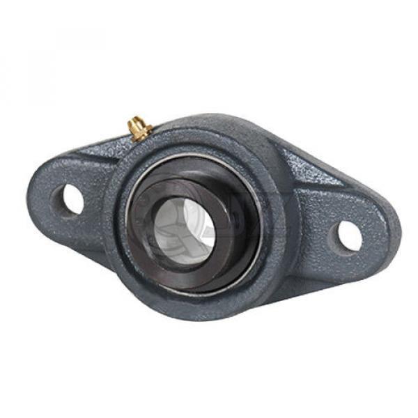 2.25 in 2-Bolts Flange Units Cast Iron HCFL212-36 Mounted Bearing HC212-36+FL212 #1 image